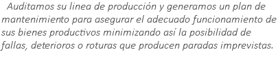 &nbsp;Auditamos su linea de producción y generamos un plan de mantenimiento para asegurar el adecuado funcionamiento de sus bienes productivos minimizando así la posibilidad de fallas, deterioros o roturas que producen paradas imprevistas.